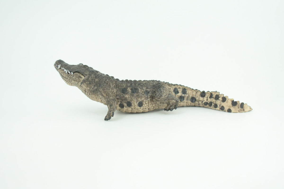 Alligator, Crocodile, Movable Jaws, Museum Quality, Educational, Hand Painted, Rubber Reptile, Realistic, Diorama, Toy, Kids, Gift, 7 Inches.  CH817 BB189