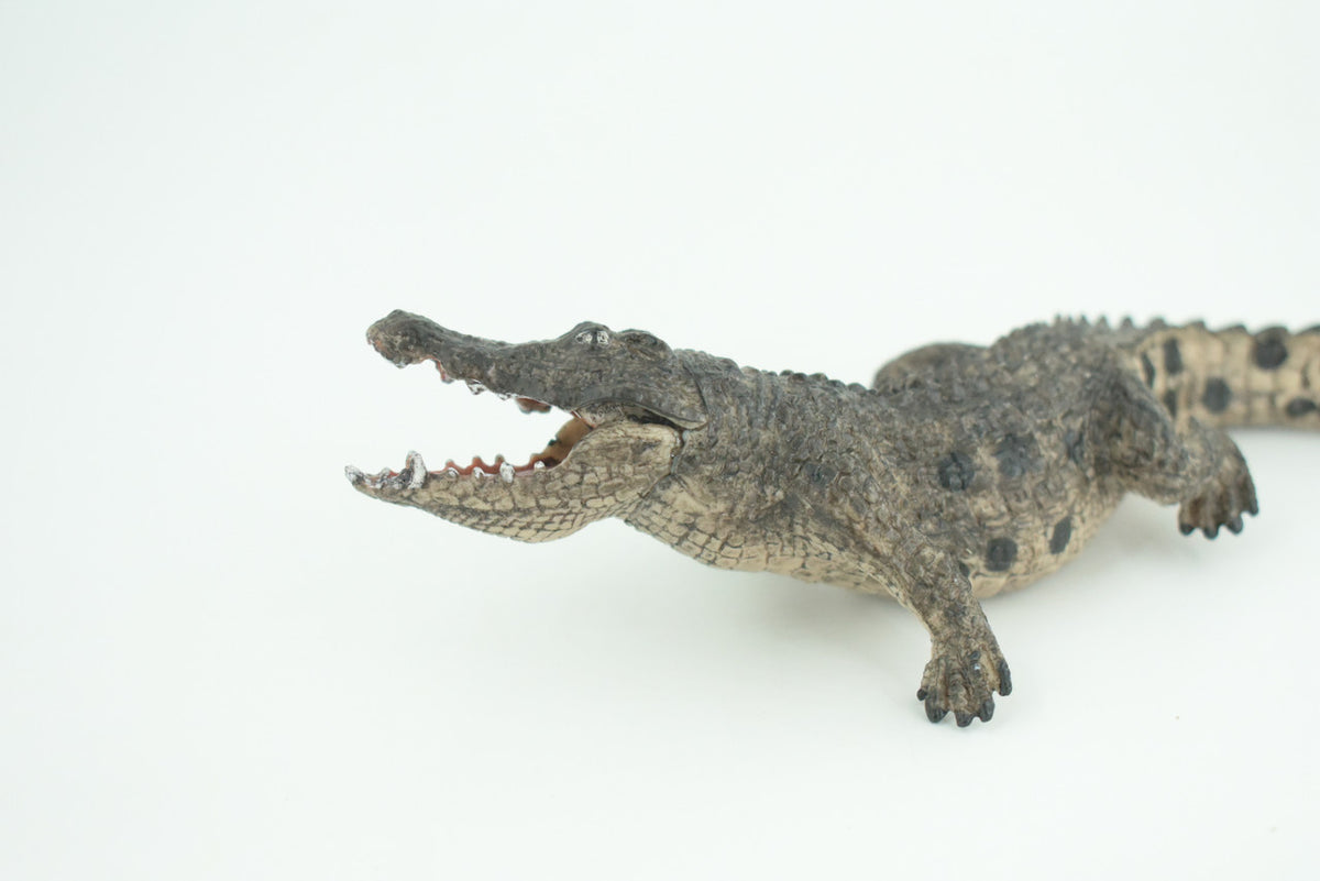 Alligator, Crocodile, Movable Jaws, Museum Quality, Educational, Hand Painted, Rubber Reptile, Realistic, Diorama, Toy, Kids, Gift, 7 Inches.  CH817 BB189