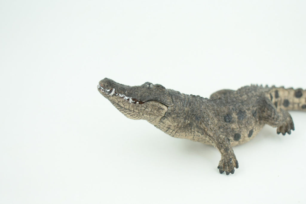Alligator, Crocodile, Movable Jaws, Museum Quality, Educational, Hand Painted, Rubber Reptile, Realistic, Diorama, Toy, Kids, Gift, 7 Inches.  CH817 BB189