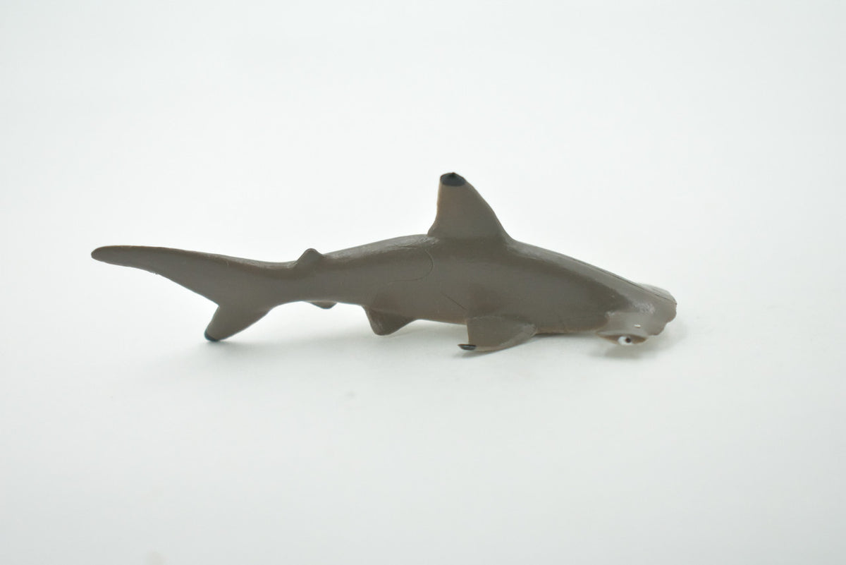 Shark, Scalloped Hammerhead Shark, High Quality, Hand Painted, Realistic, Rubber, Fish, Figure, Model, Toy, Kids, Educational, Gift,     3 1/2"   CH700 BB174