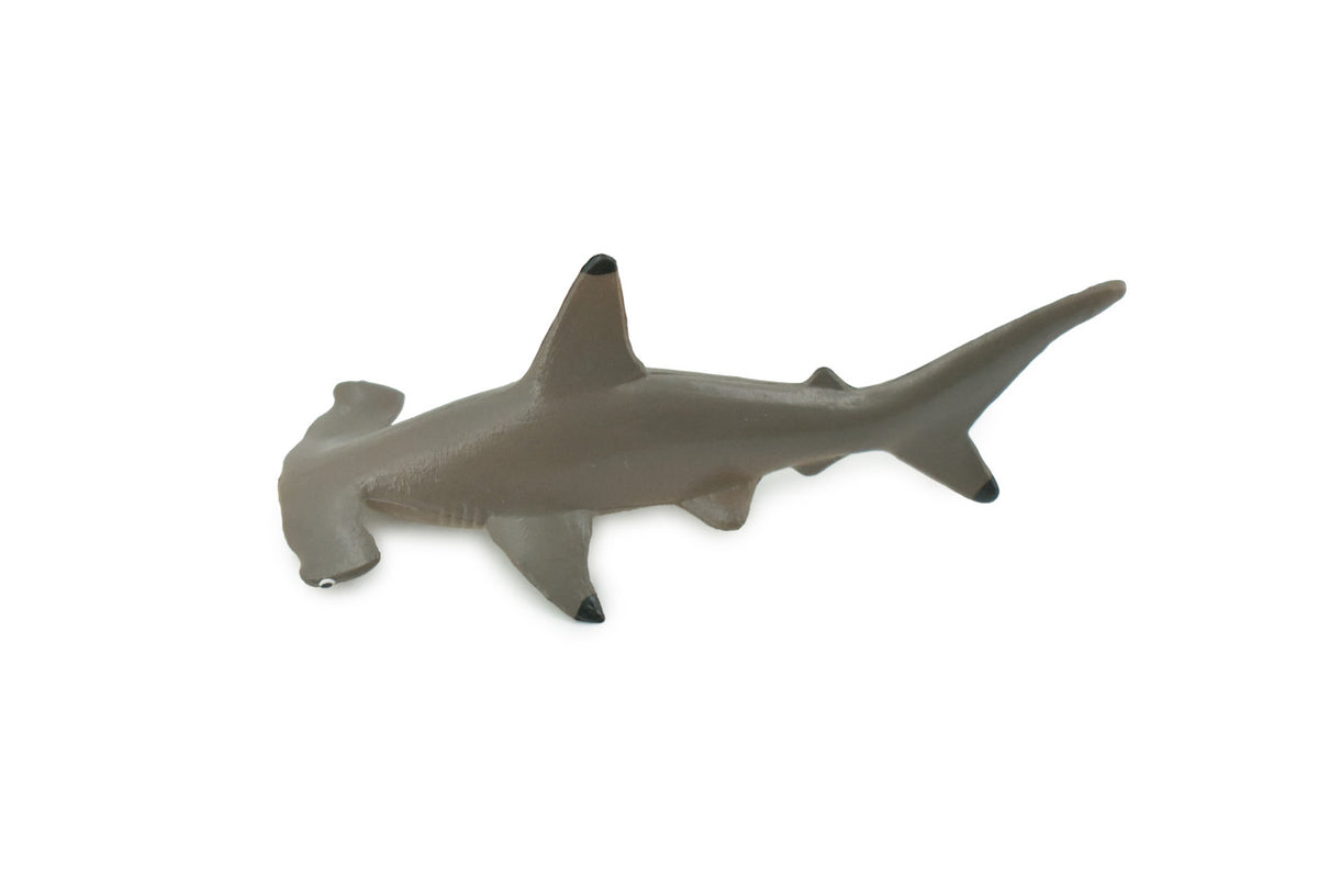 Shark, Scalloped Hammerhead Shark, High Quality, Hand Painted, Realistic, Rubber, Fish, Figure, Model, Toy, Kids, Educational, Gift,     3 1/2"   CH700 BB174