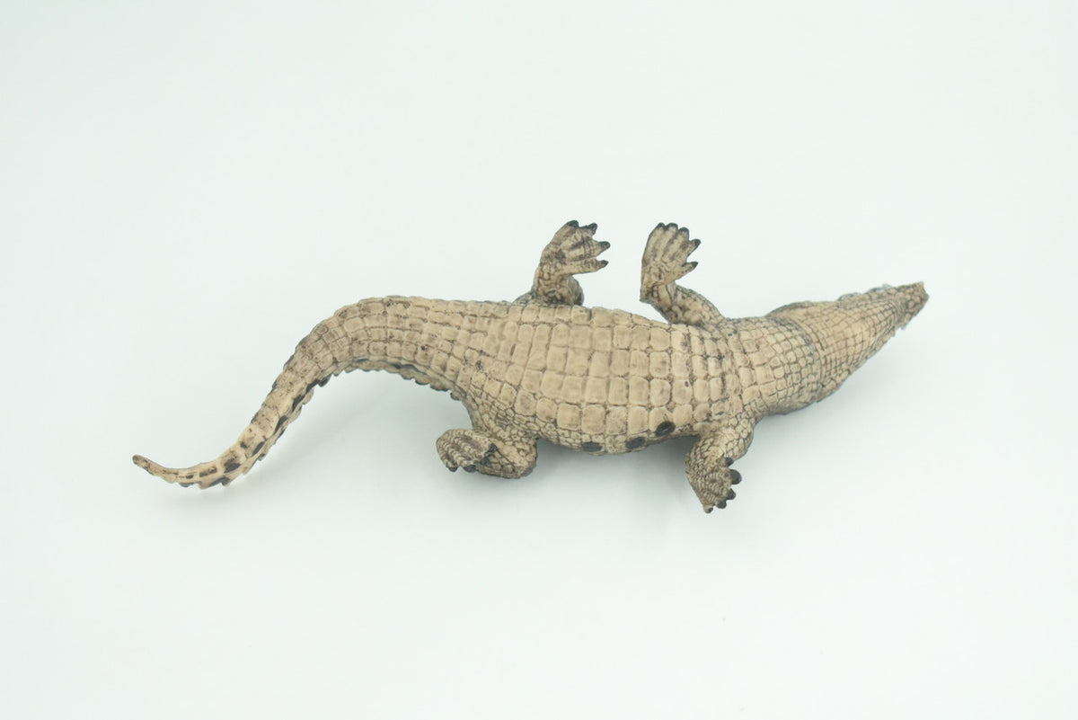 Alligator, Crocodile, Movable Jaws, Museum Quality, Educational, Hand Painted, Rubber Reptile, Realistic, Diorama, Toy, Kids, Gift, 7 Inches.  CH817 BB189