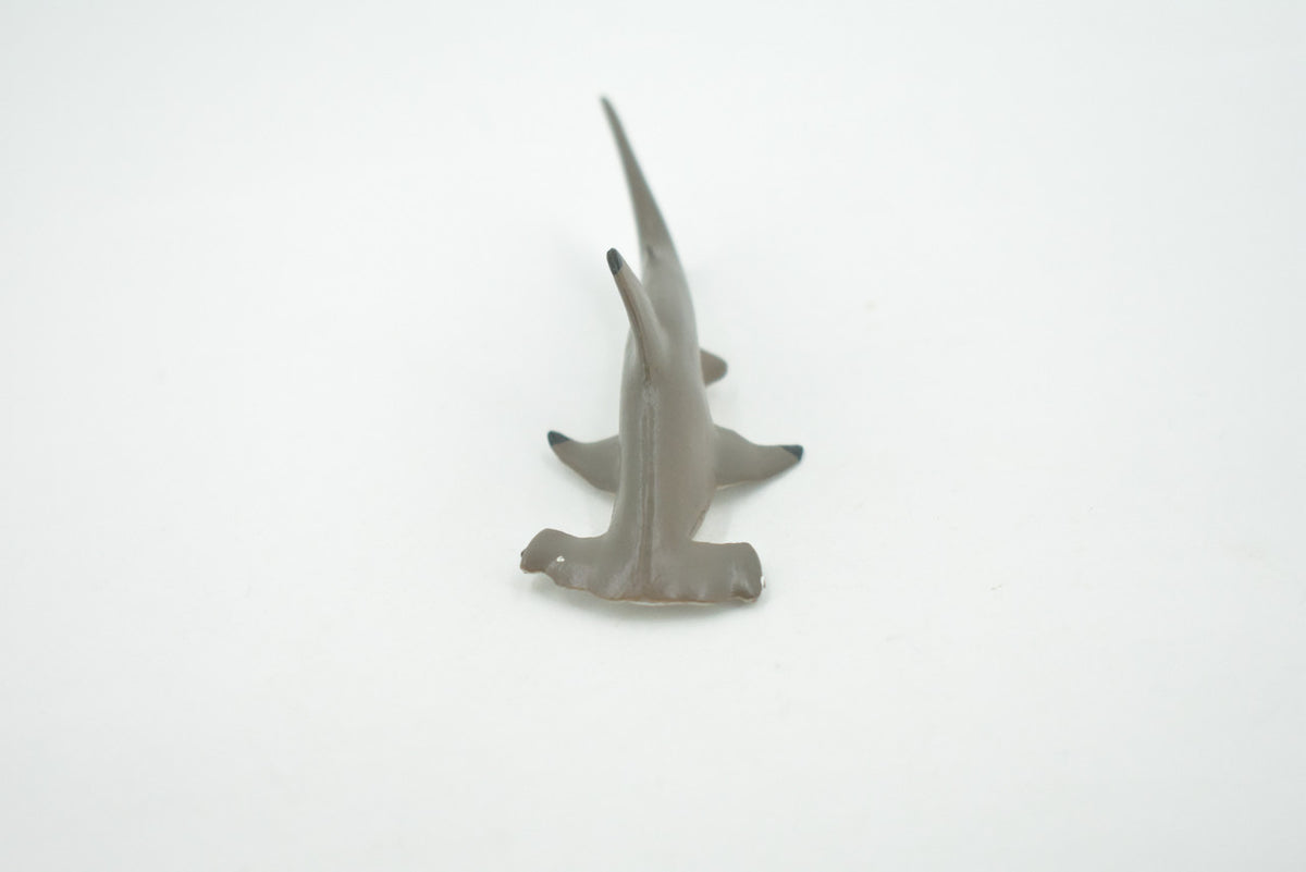 Shark, Scalloped Hammerhead Shark, High Quality, Hand Painted, Realistic, Rubber, Fish, Figure, Model, Toy, Kids, Educational, Gift,     3 1/2"   CH700 BB174