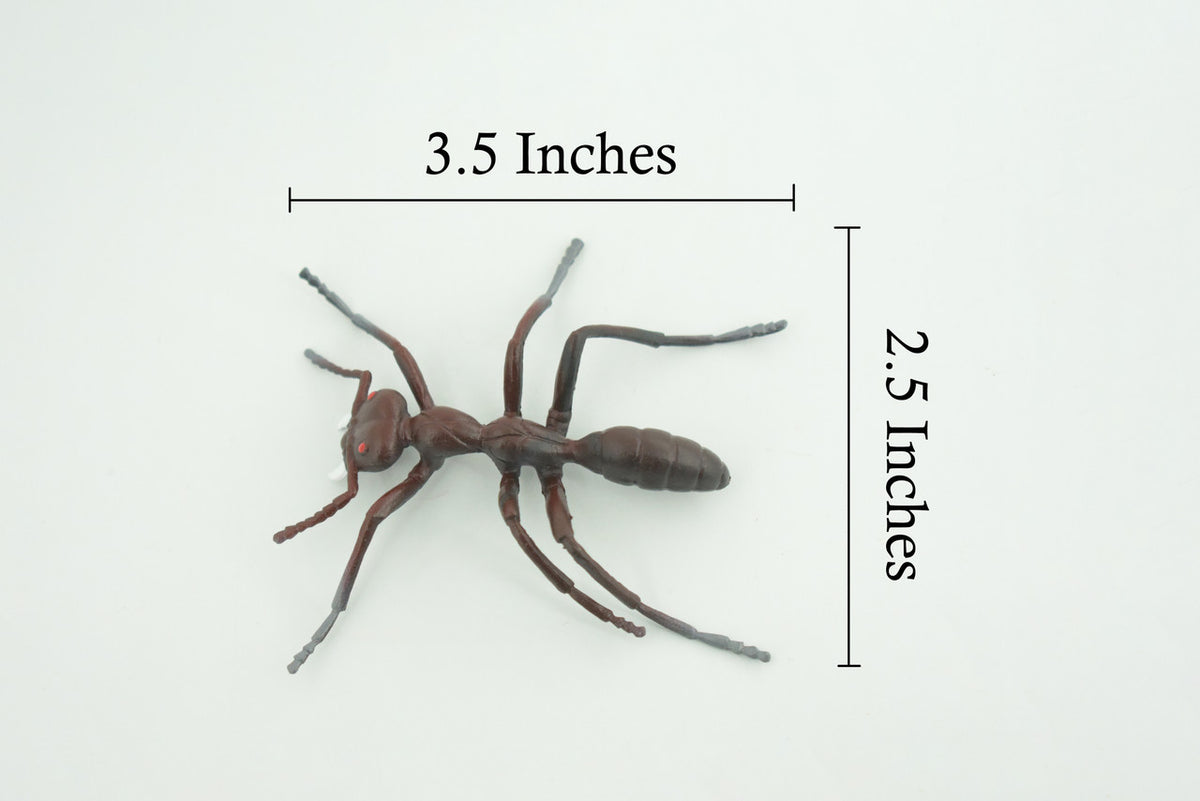 Ant, Carpenter Ant, Rubber Insect, High Quality, Hand Painted, Realistic, Figure, Diorama Model, Replica, Toy, Kids, Educational, Gift, 3 1/2 Inches CWG215 B37