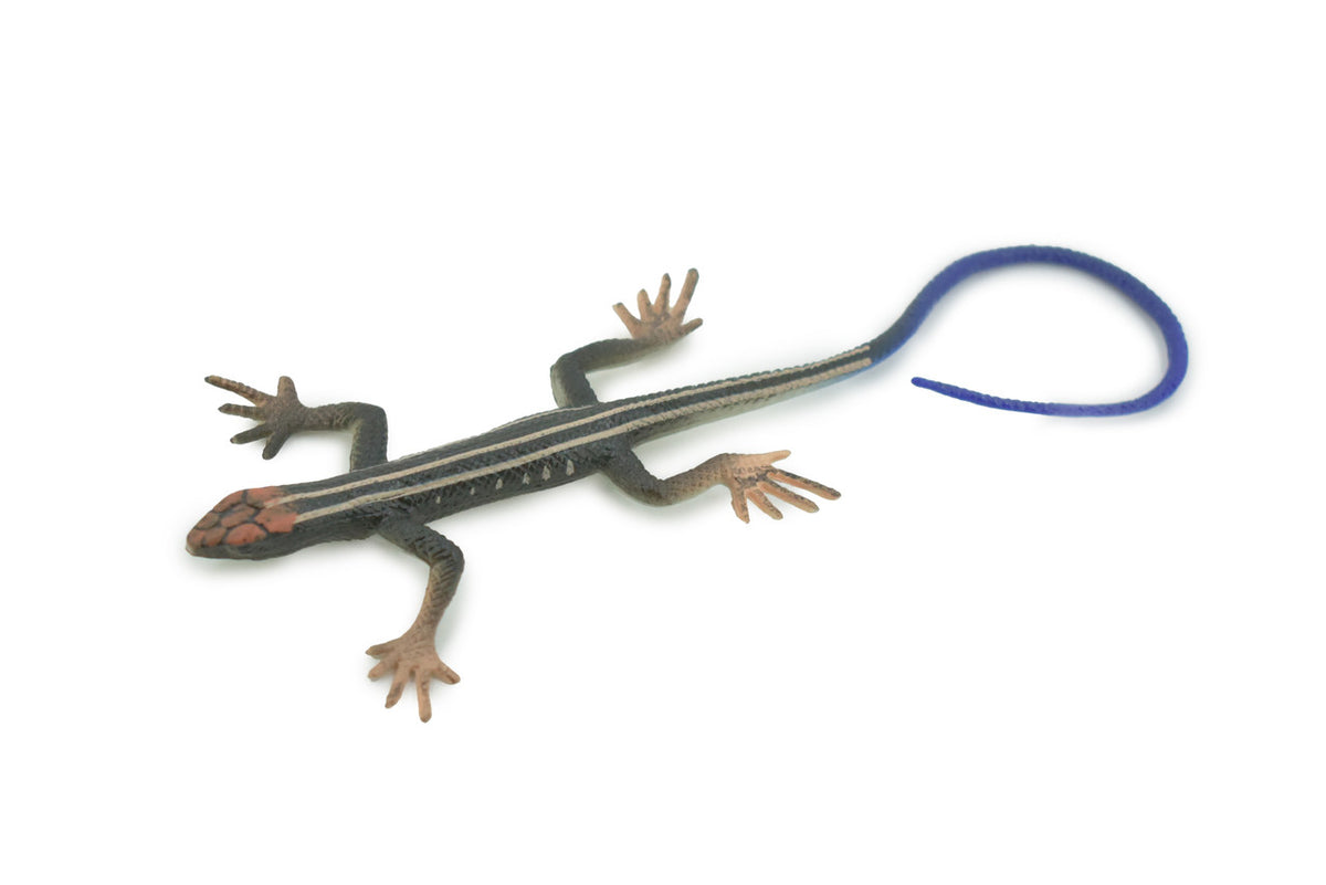 Lizard, Western skink, American five-lined Skink, Museum Quality, Rubber Reptile, Hand Painted, Realistic,  Replica, Toy, Kids, Educational, Gift,     5"     CH699 BB174
