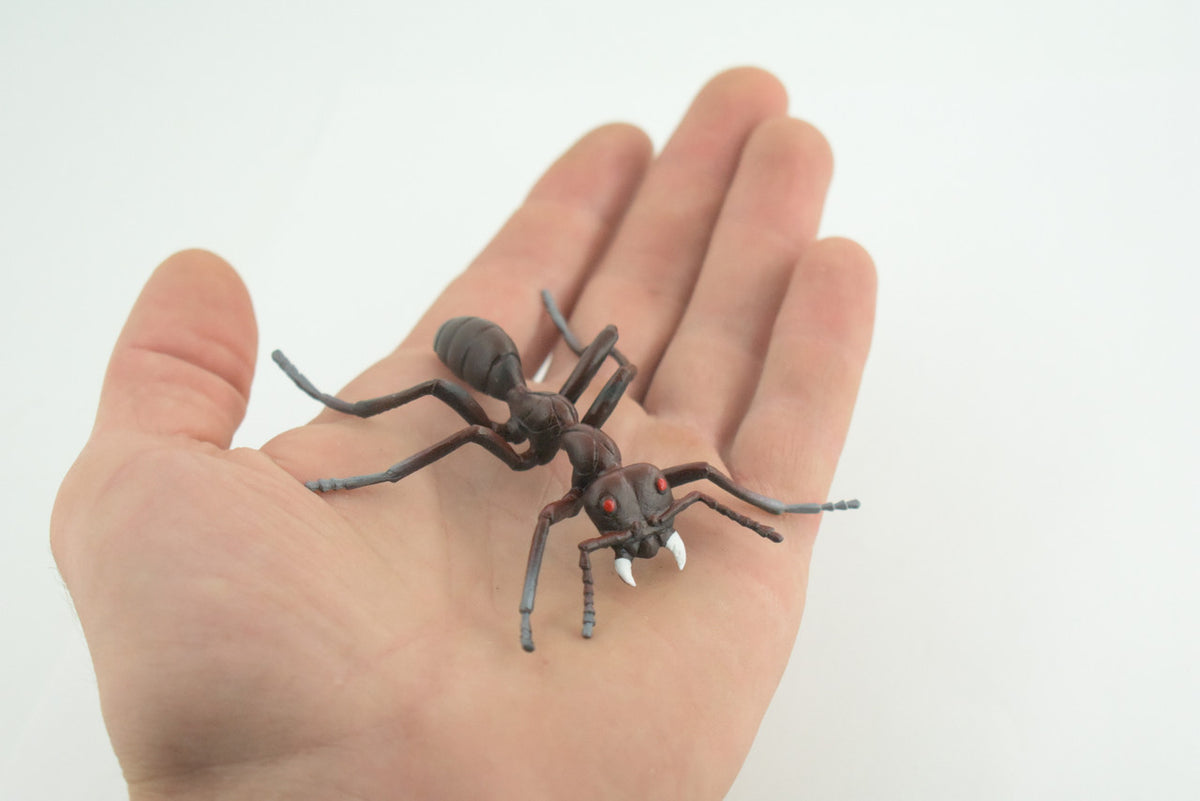 Ant, Carpenter Ant, Rubber Insect, High Quality, Hand Painted, Realistic, Figure, Diorama Model, Replica, Toy, Kids, Educational, Gift, 3 1/2 Inches CWG215 B37