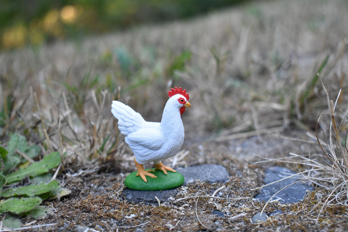 Chicken White Realistic Small Toy Model Plastic Replica Barn Farm Animal, Kids Educational Gift  2"  F7053 B140