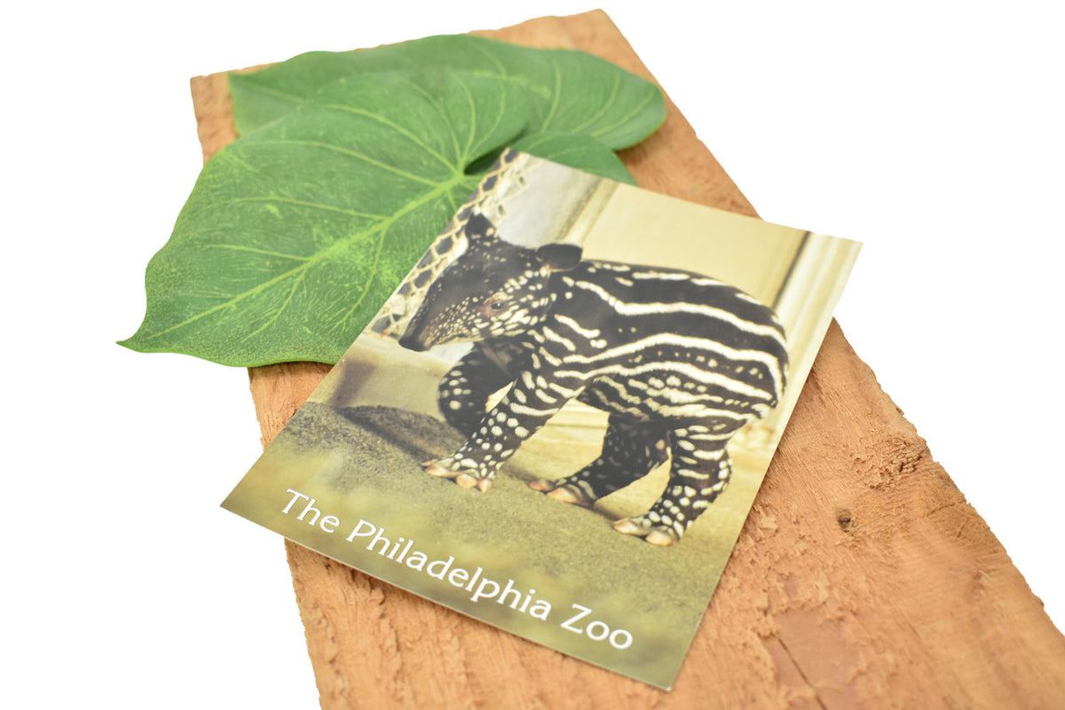 AWESOME WAY TO RECONNECT WITH ANY NATURE LOVER