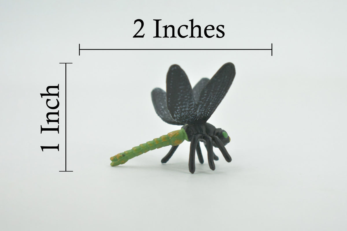 Dragonfly, Dragon Fly, Odonata, High Quality, Hand Painted, Rubber Insect, Realistic, Toy Figure, Model, Replica, Kids, Educational, Gift,       2 "      CH698 BB174
