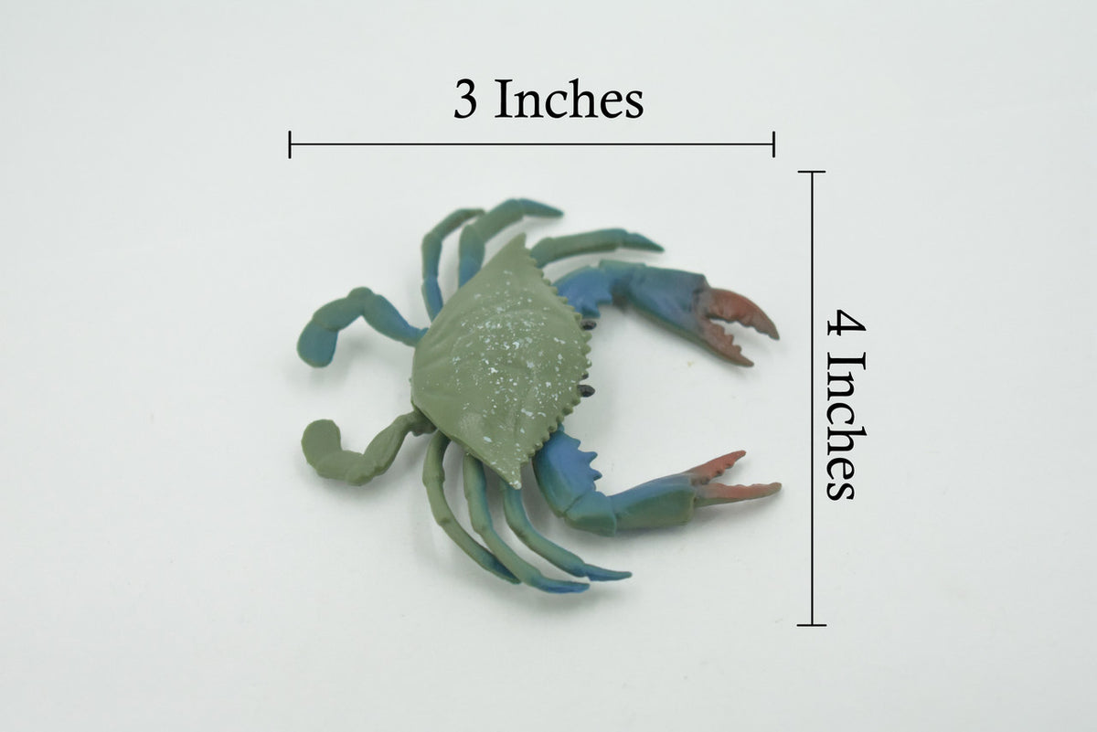 Crab, Blue Crab, Museum Quality, Rubber Crustacean, Hand Painted, Realistic Toy Figure, Model, Replica, Kids, Educational, Gift,       4"       CH696 BB174