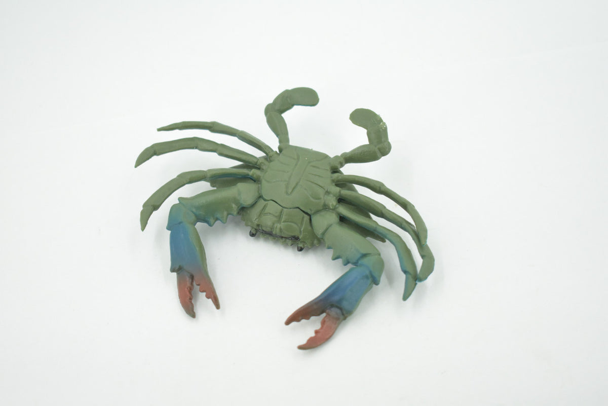 Crab, Blue Crab, Museum Quality, Rubber Crustacean, Hand Painted, Realistic Toy Figure, Model, Replica, Kids, Educational, Gift,       4"       CH696 BB174