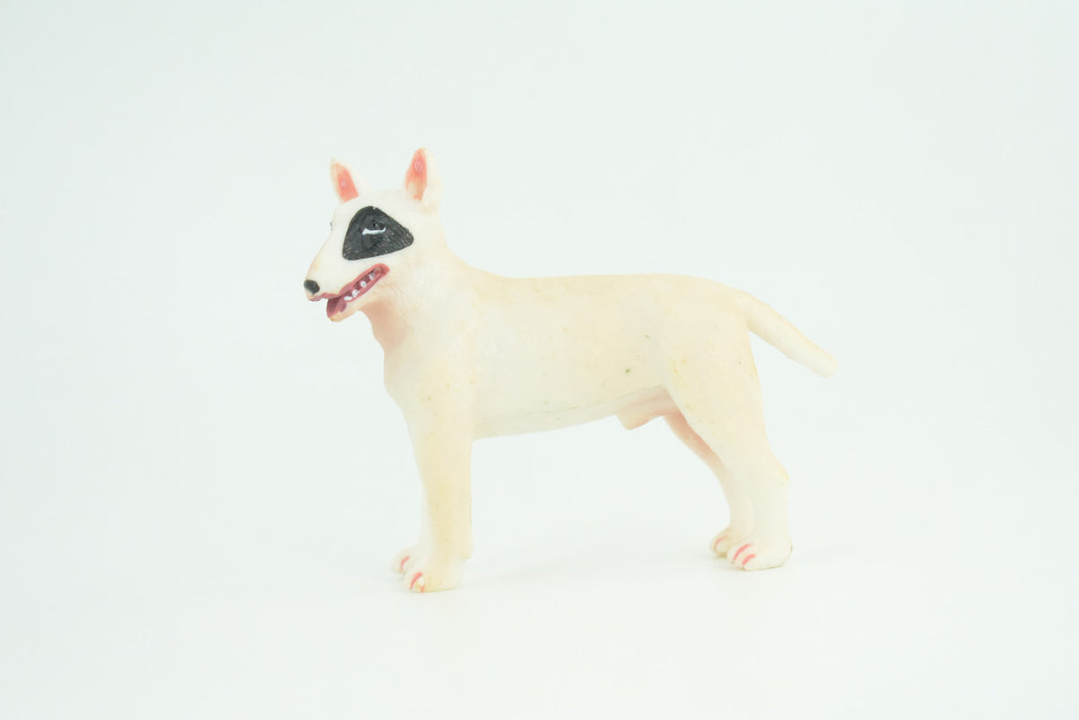 Bull Terrier Dog, Male, Very Nice Quality, Hand Painted, Educational, Rubber Canine, Realistic, K9, Diorama, Toys, Kids, Gift,   3 Inches.  CH814 BB189