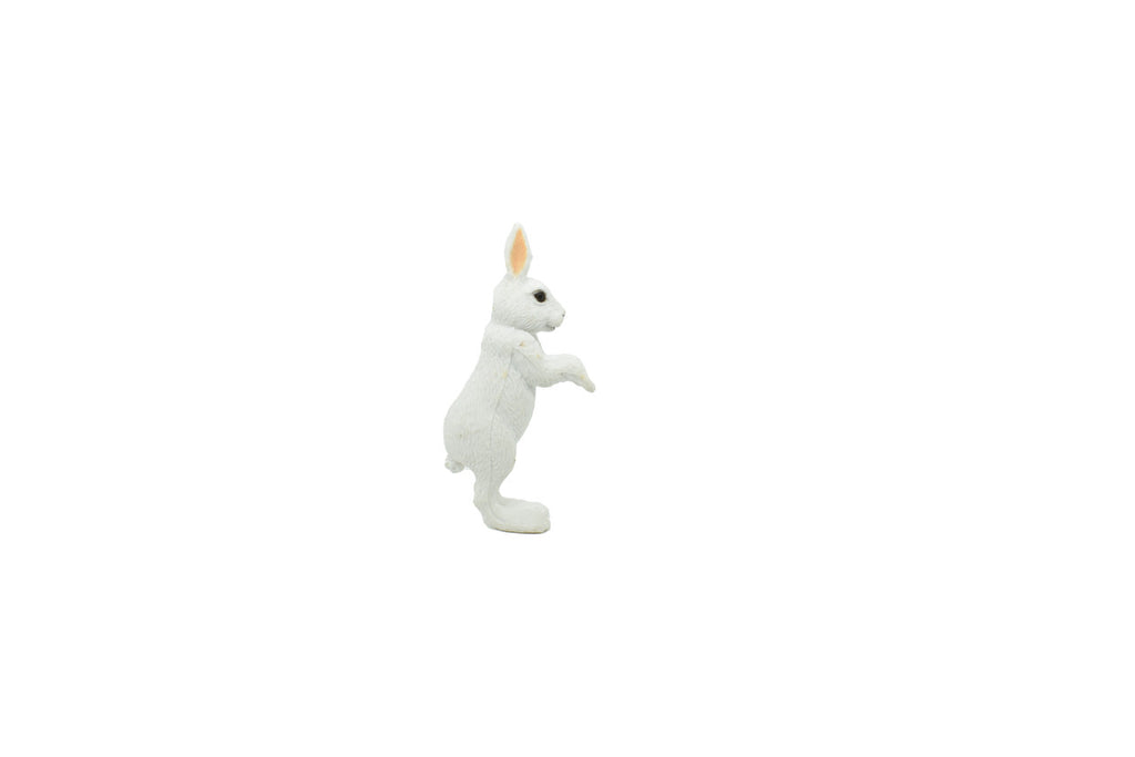 Arctic Hare, Rabbit, Very Nice Plastic Animal, Educational, Realistic Figure, Lifelike Model, Figurine, Replica, Gift,    2"