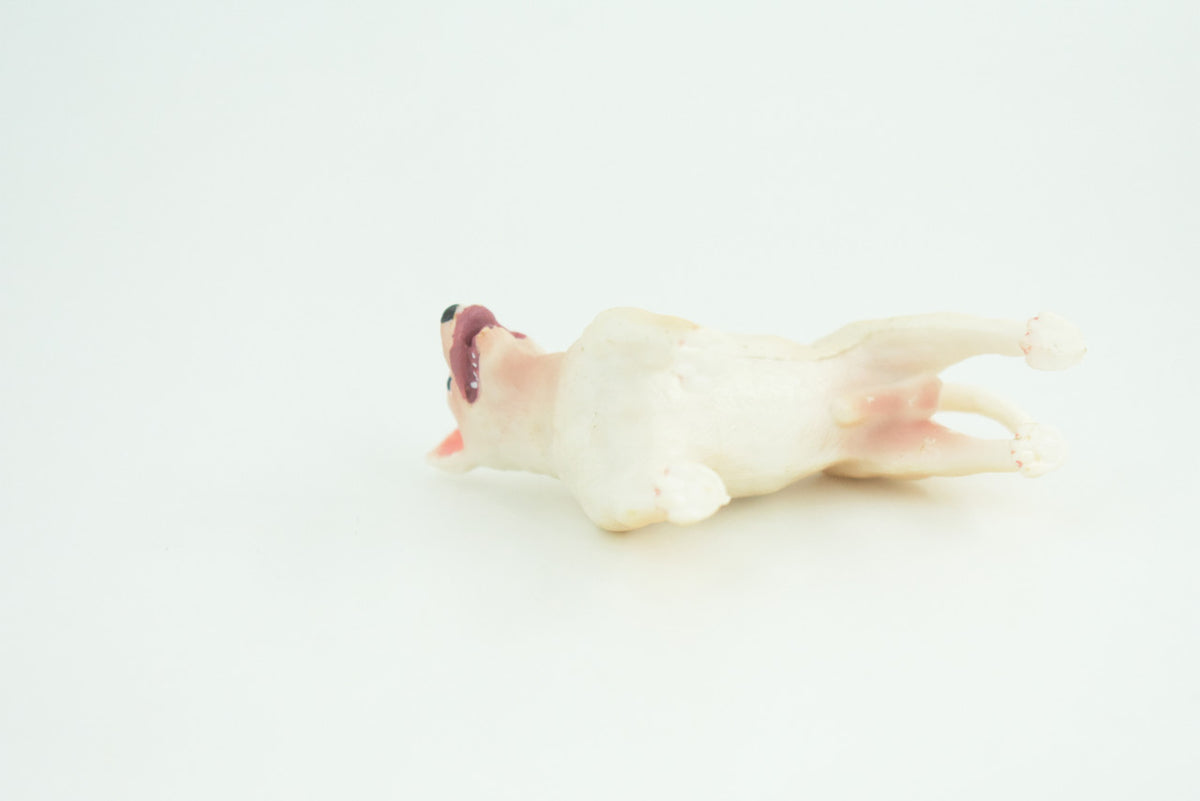 Bull Terrier Dog, Male, Very Nice Quality, Hand Painted, Educational, Rubber Canine, Realistic, K9, Diorama, Toys, Kids, Gift,   3 Inches.  CH814 BB189