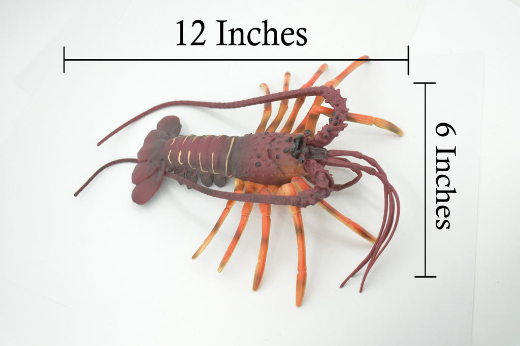 Lobster, Pacific, Australian, Crustaceans, Hand Painted, Museum Quality, Rubber, Realistic, Toy, Kids, Figure, Model, Educational, Gift,       12"     CH720 BB176