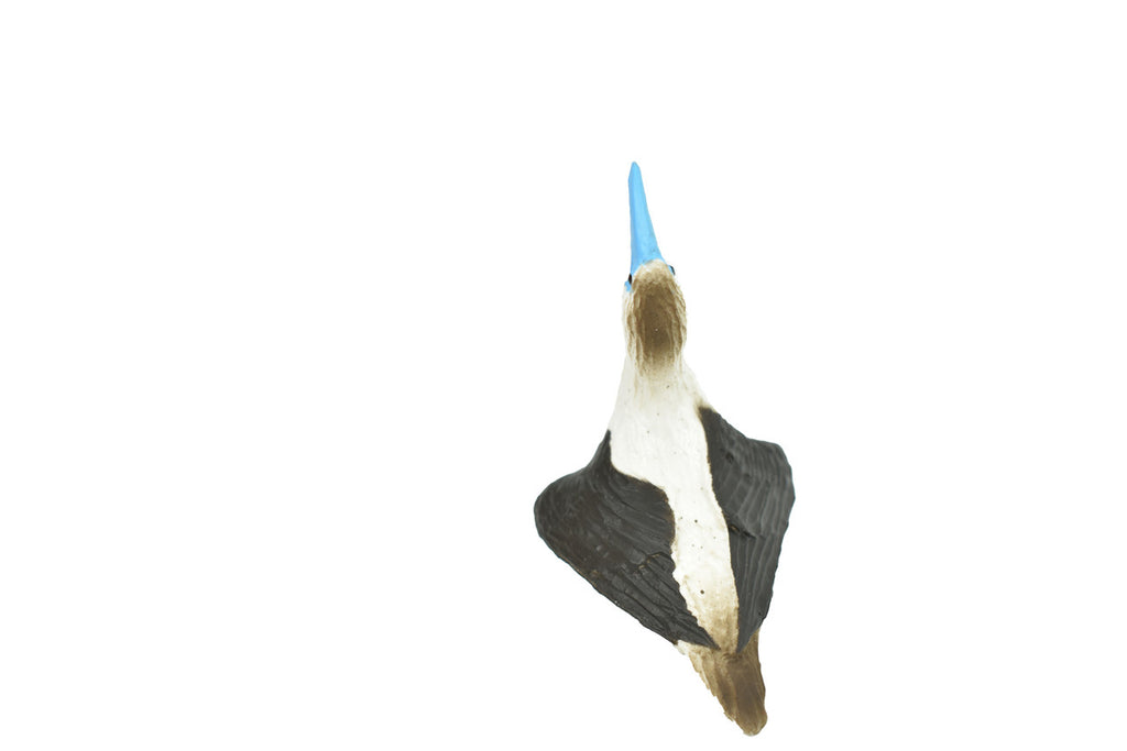 BACK LEFT