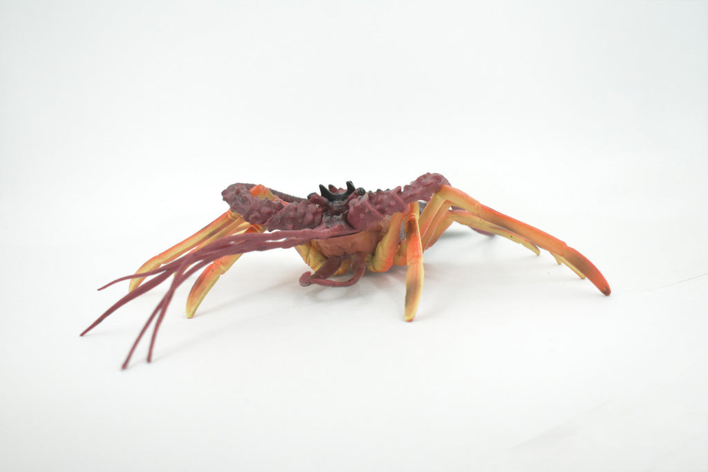 Lobster, Pacific, Australian, Crustaceans, Hand Painted, Museum Quality, Rubber, Realistic, Toy, Kids, Figure, Model, Educational, Gift,       12"     CH720 BB176