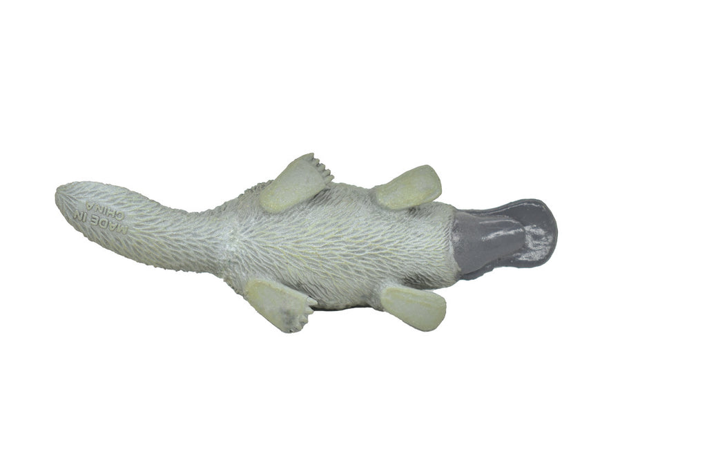 BOTTOM