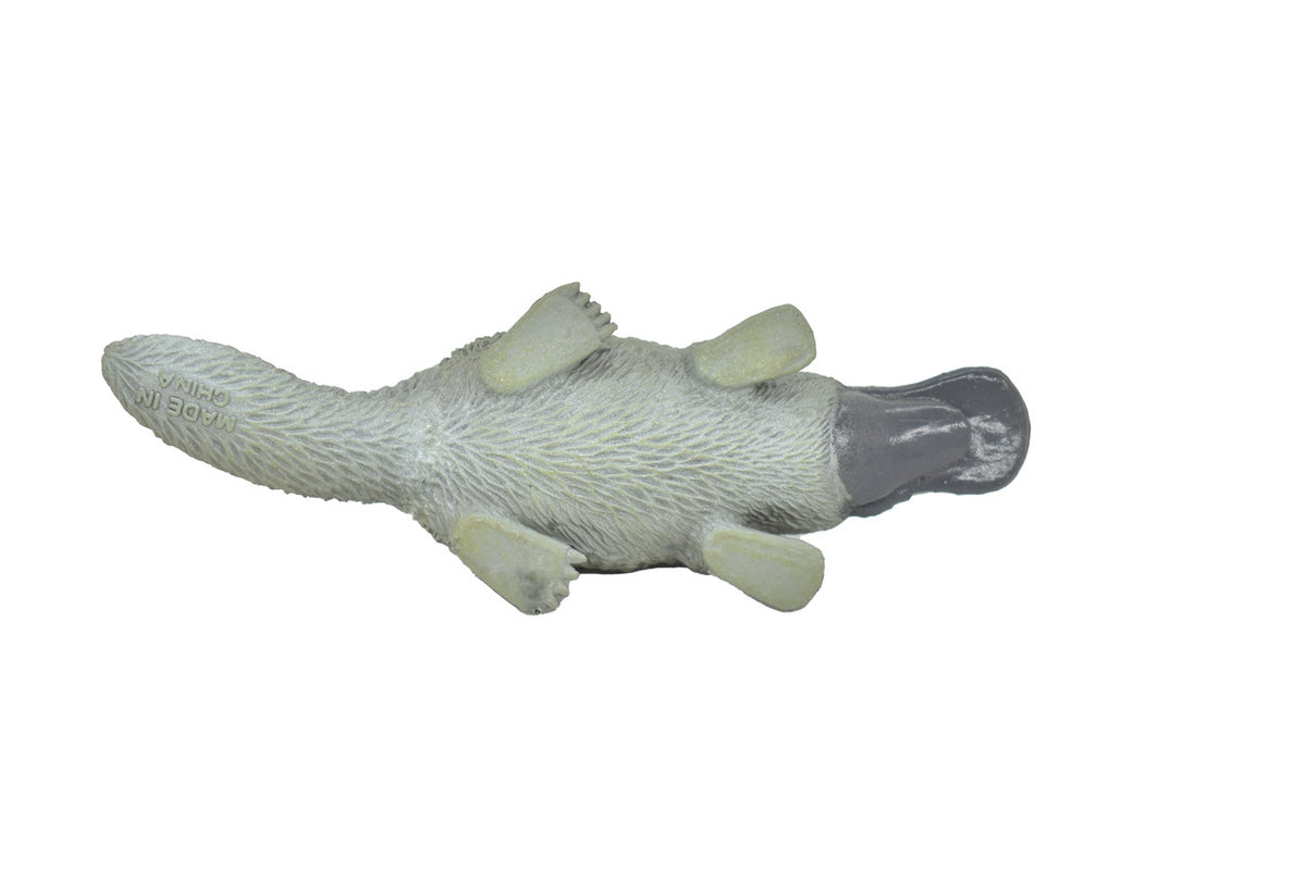 BOTTOM