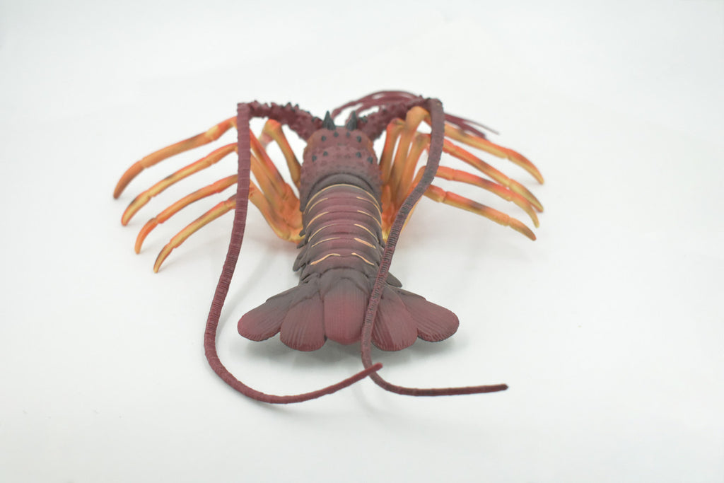 Lobster, Pacific, Australian, Crustaceans, Hand Painted, Museum Quality, Rubber, Realistic, Toy, Kids, Figure, Model, Educational, Gift,       12"     CH720 BB176