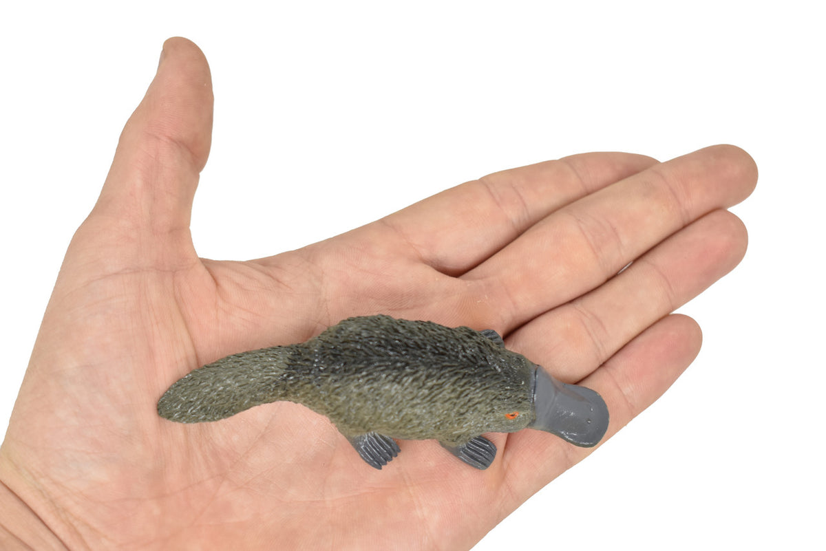 REAL SIZE IN THE HAND