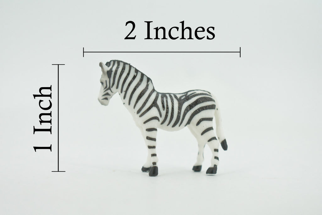 Zebra, African equines, Equidae, High Quality, Hand Painted, Rubber, Realistic, Figure, Model, Replica, Toy, Kids, Educational, Gift,       2"        CH725 BB176