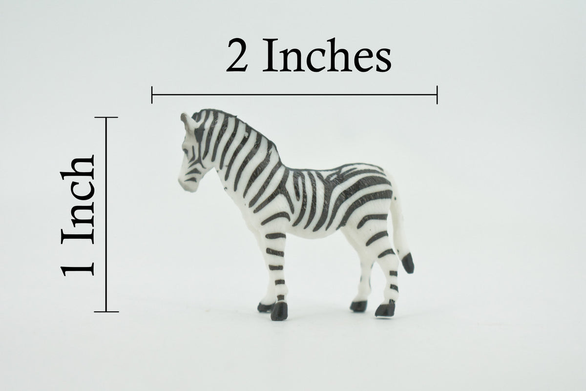 Zebra, African equines, Equidae, High Quality, Hand Painted, Rubber, Realistic, Figure, Model, Replica, Toy, Kids, Educational, Gift,       2"        CH725 BB176