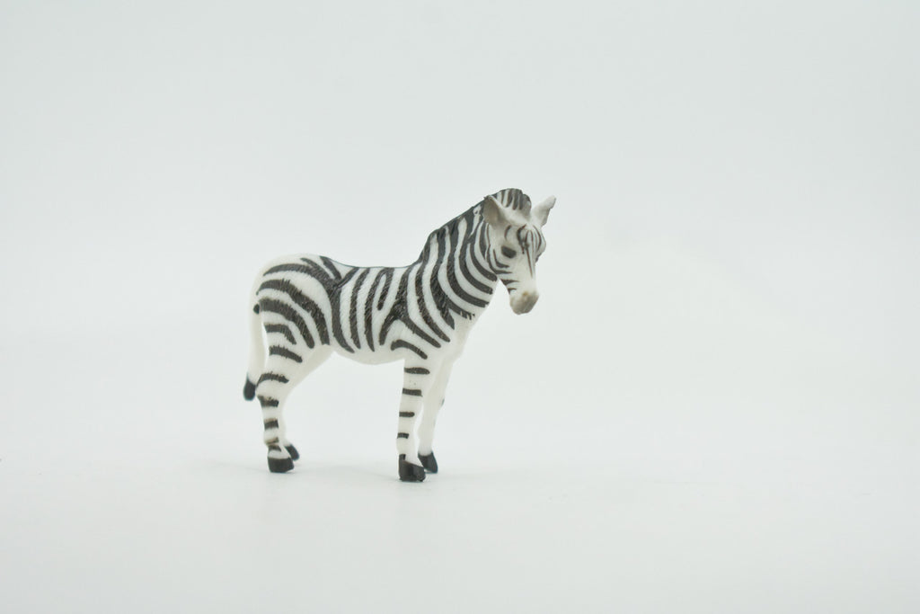 Zebra, African equines, Equidae, High Quality, Hand Painted, Rubber, Realistic, Figure, Model, Replica, Toy, Kids, Educational, Gift,       2"        CH725 BB176