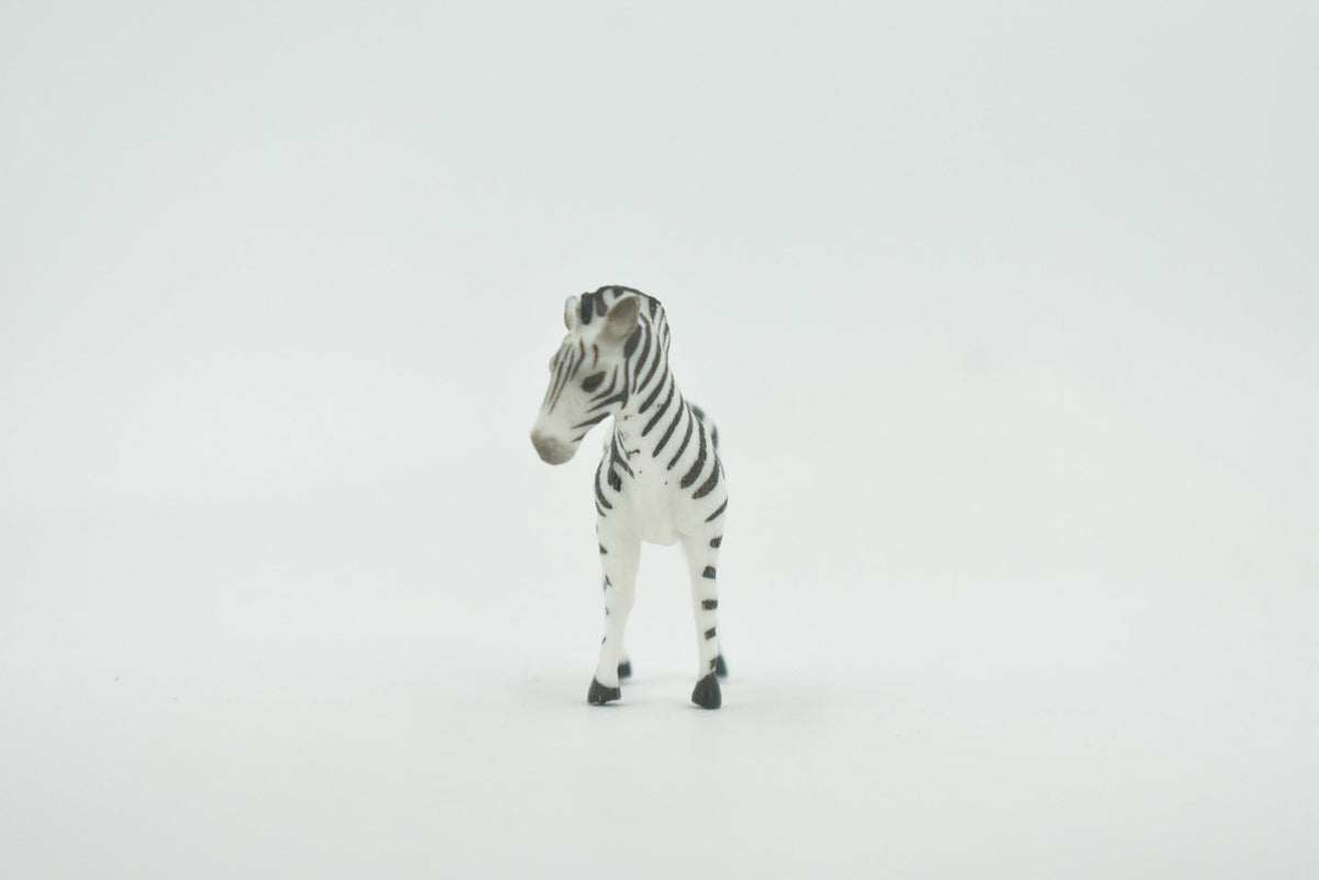 Zebra, African equines, Equidae, High Quality, Hand Painted, Rubber, Realistic, Figure, Model, Replica, Toy, Kids, Educational, Gift,       2"        CH725 BB176