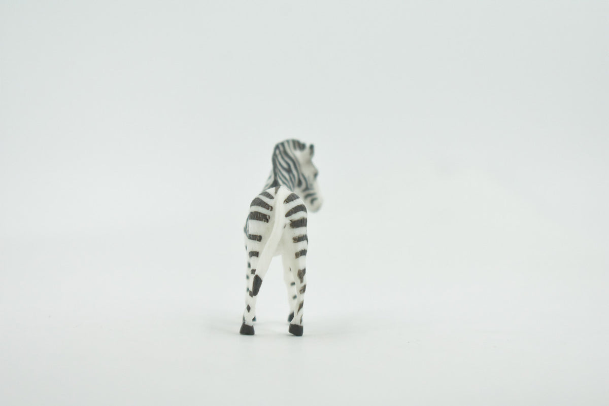 Zebra, African equines, Equidae, High Quality, Hand Painted, Rubber, Realistic, Figure, Model, Replica, Toy, Kids, Educational, Gift,       2"        CH725 BB176