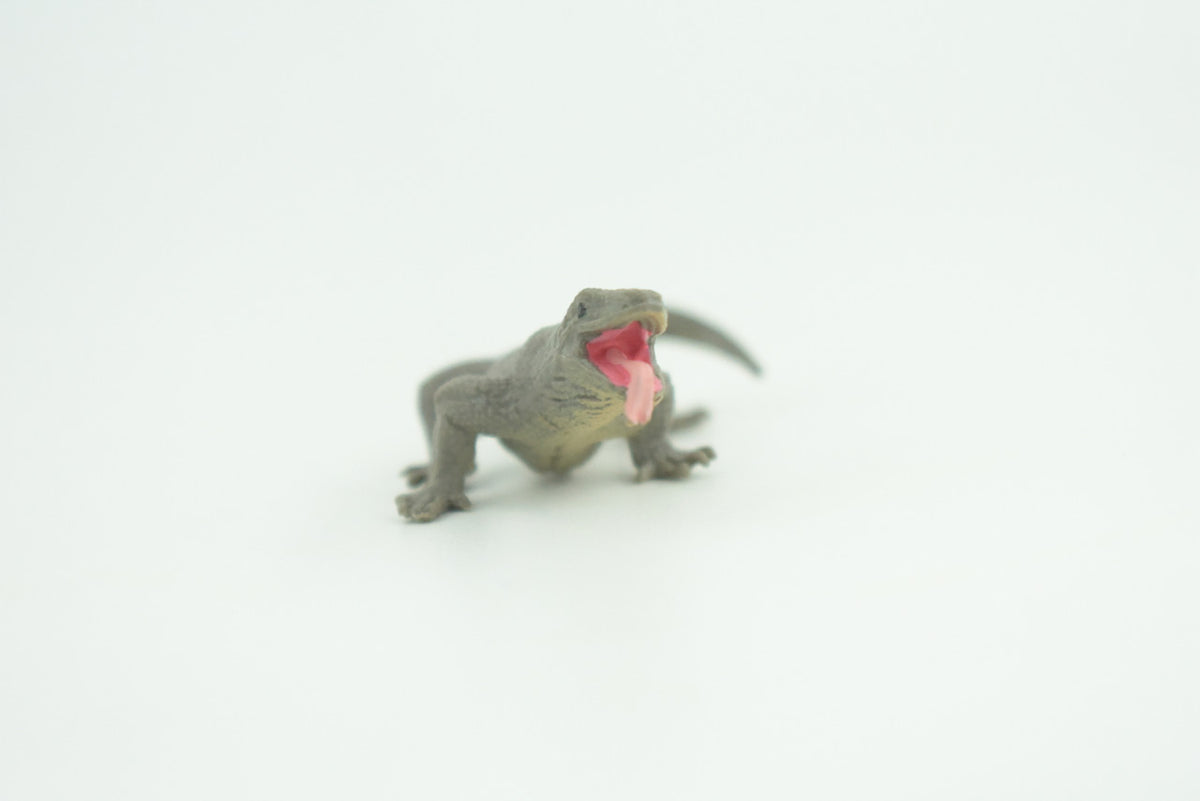 Asian water monitor, Young, Lizard, Hand Painted, Reptiles, Educational, Very Nice Rubber Reptile, Realistic, Diorama, Toys, Kids, Gift,    2 Inches. CH826 BB194