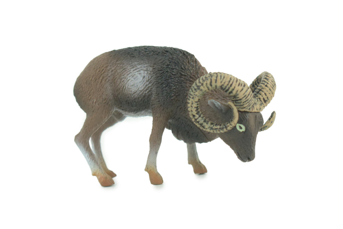 Wild Mountain Sheep, Argali, Museum Quality, Educational, Hand Painted, Rubber Animal, Realistic, Diorama, Toy, Kids, Gift, 3 1/2 Inches. CH828 BB194