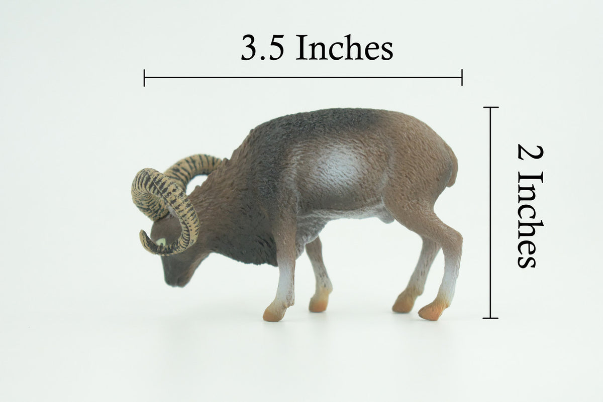 Wild Mountain Sheep, Argali, Museum Quality, Educational, Hand Painted, Rubber Animal, Realistic, Diorama, Toy, Kids, Gift, 3 1/2 Inches. CH828 BB194