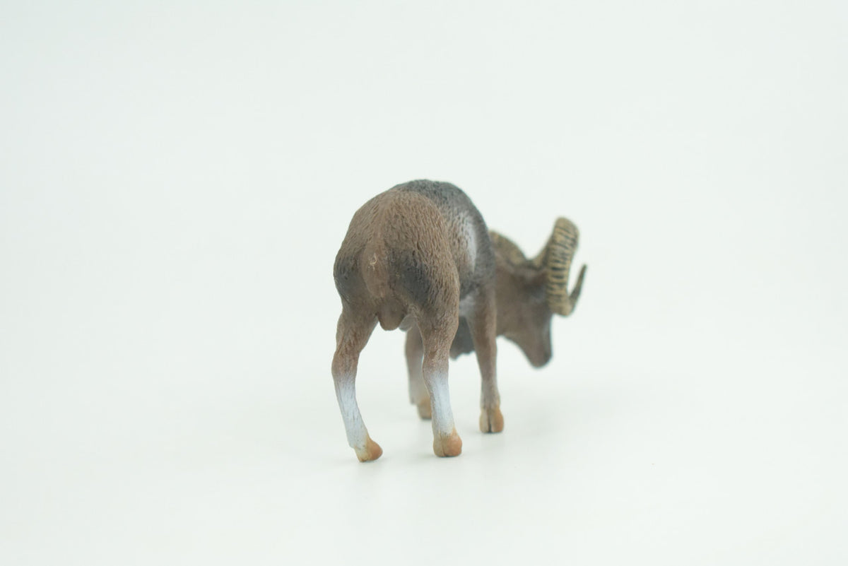 Wild Mountain Sheep, Argali, Museum Quality, Educational, Hand Painted, Rubber Animal, Realistic, Diorama, Toy, Kids, Gift,   3 1/2  Inches.  CH828 BB194