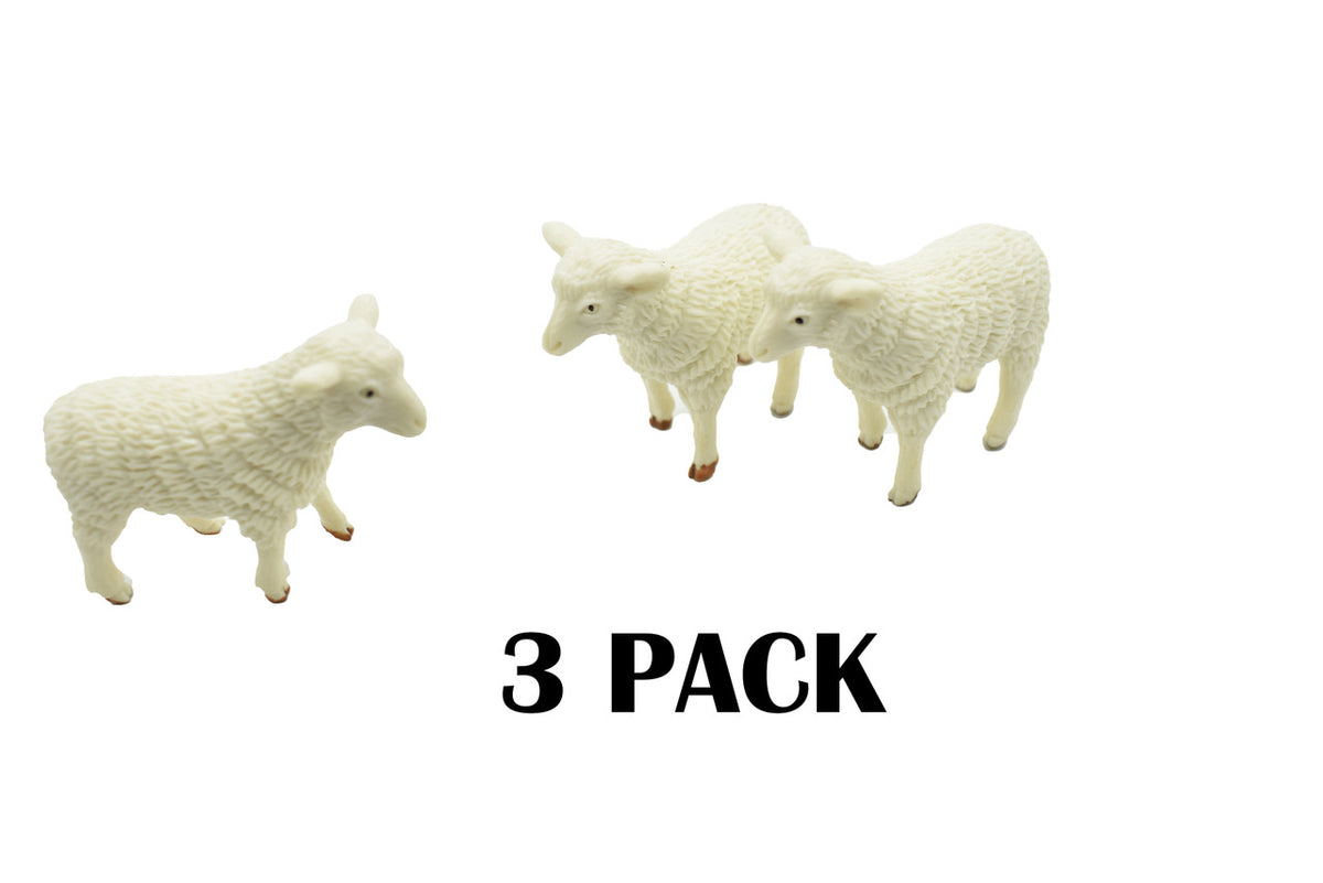 GRAB A 3 PACK FOR ANY OCCASION