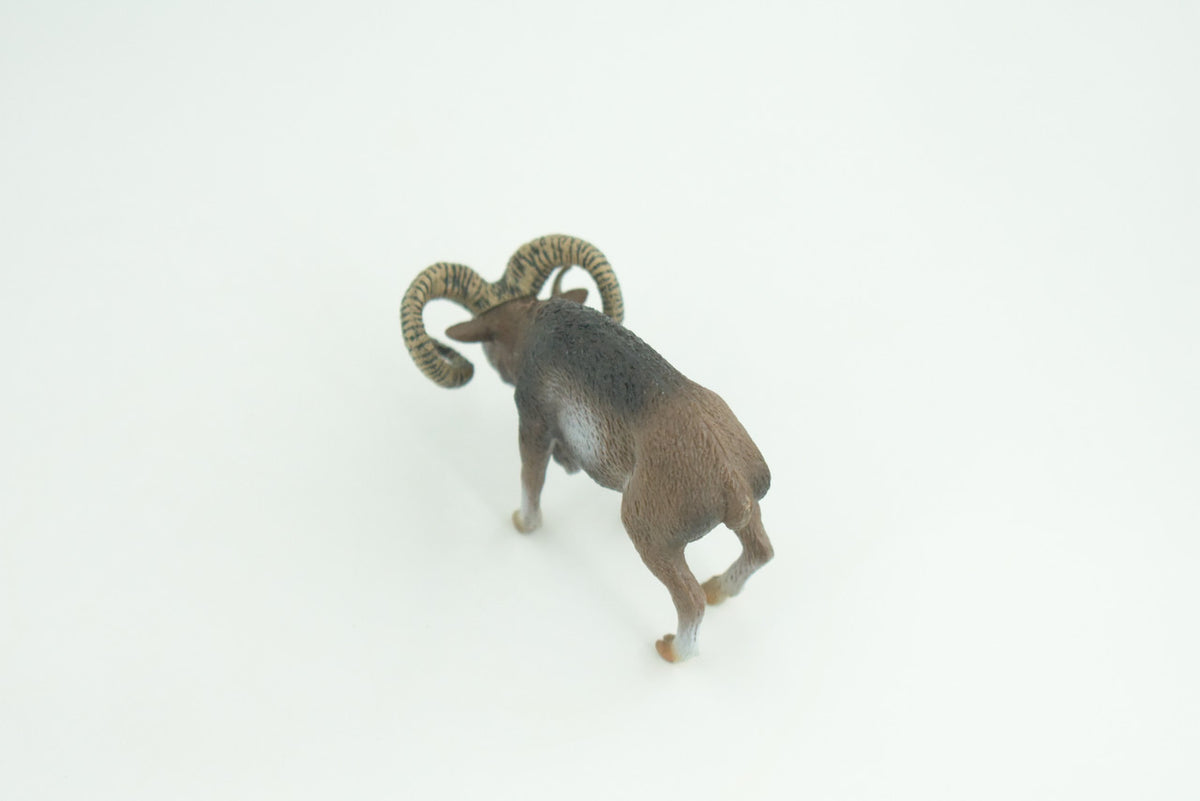 Wild Mountain Sheep, Argali, Museum Quality, Educational, Hand Painted, Rubber Animal, Realistic, Diorama, Toy, Kids, Gift,   3 1/2  Inches.  CH828 BB194