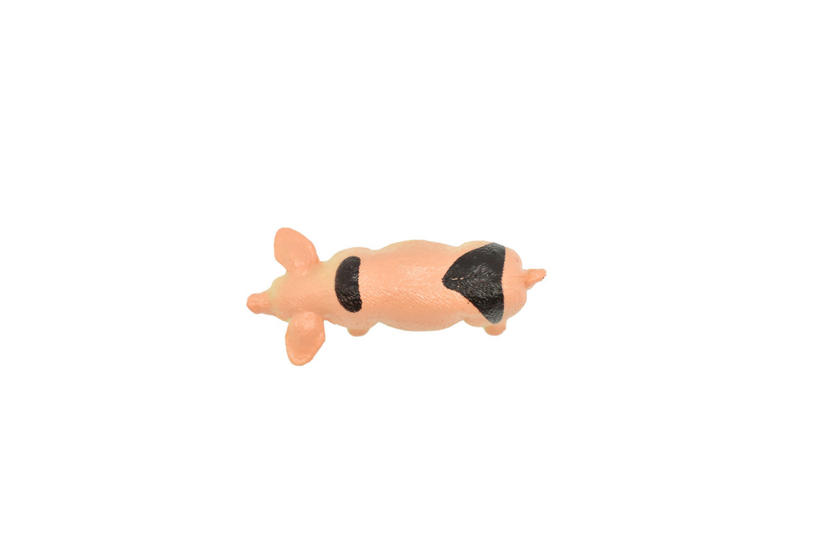 TOP DOWN