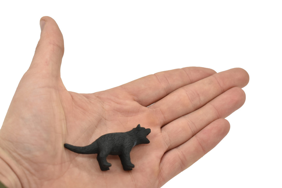 Tasmanian Devil, Tassie devil, Marsupial, Very Nice Rubber Design, Educational Design, Lifelike, Diorama Model, Replica, Toy, Kids,  2 1/2  Inches