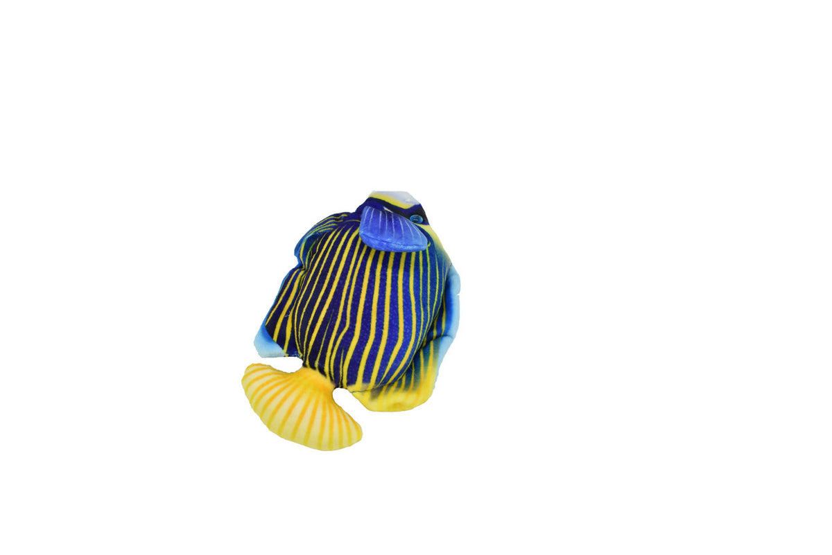 AngelFish, Pterophyllum, Ciclids, Tropical Fish Magnet, Fish Design, Realistic Figure, Educational, Figure, Lifelike,  Model, Figurine, Replica, Gift,    5 1/2 Inches.  CWG30 BB3