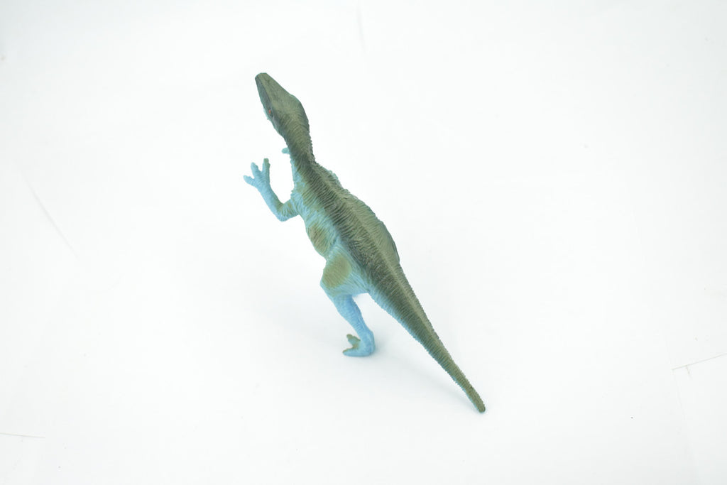 Albertosaurus, Albertosaurs, Cretaceous Dinosaurs, High Quality, Hand Painted, Rubber, Realistic, Model, Replica, Toy, Kids, Educational, Gift,      7"     RI25 B166