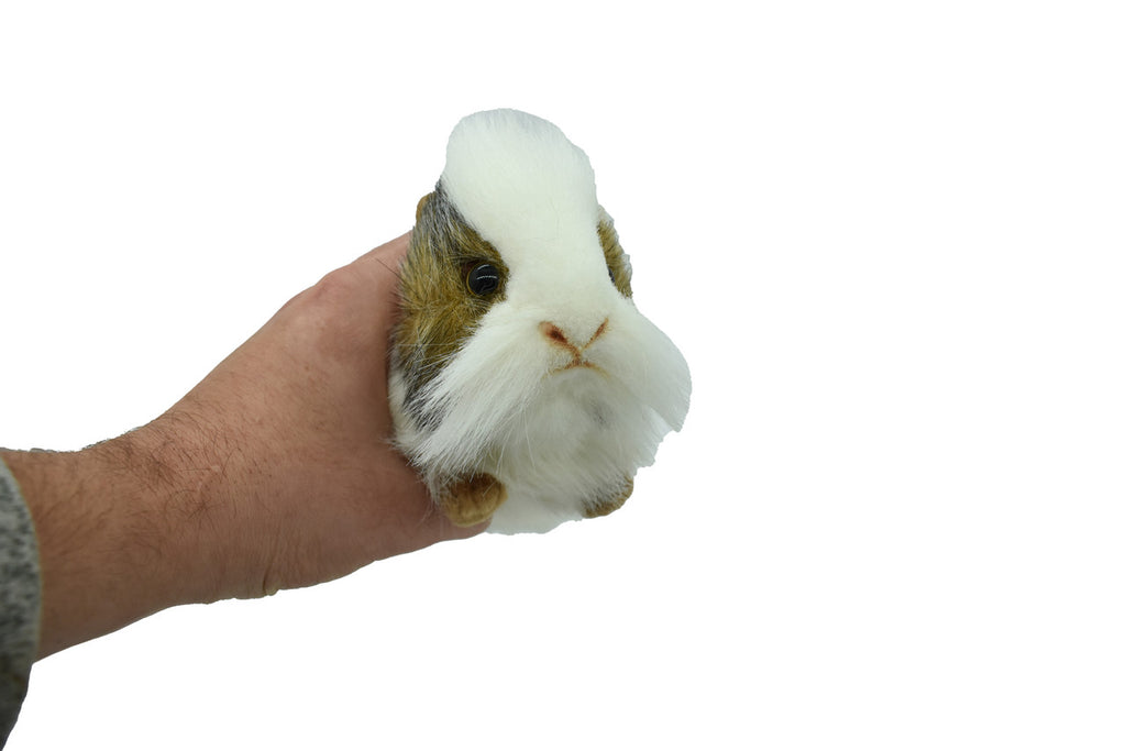 REAL SIZE IN THE HAND