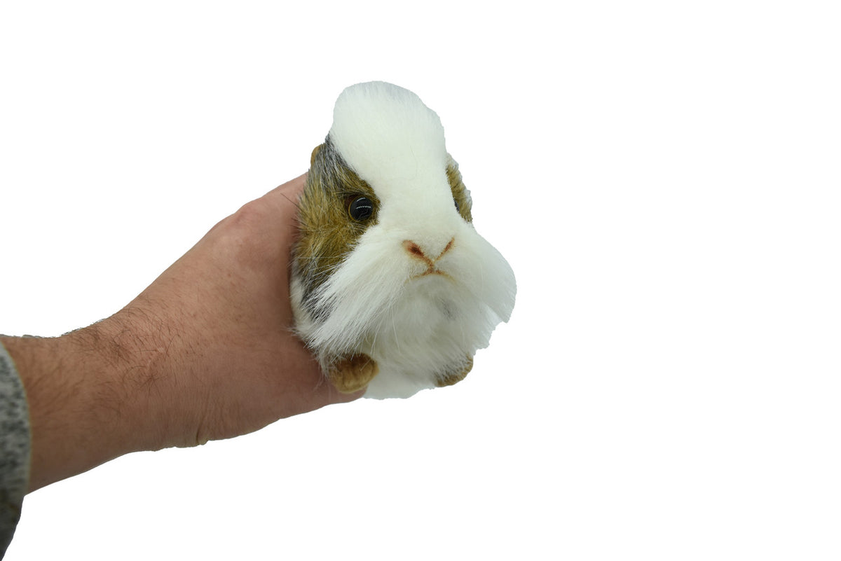 REAL SIZE IN THE HAND