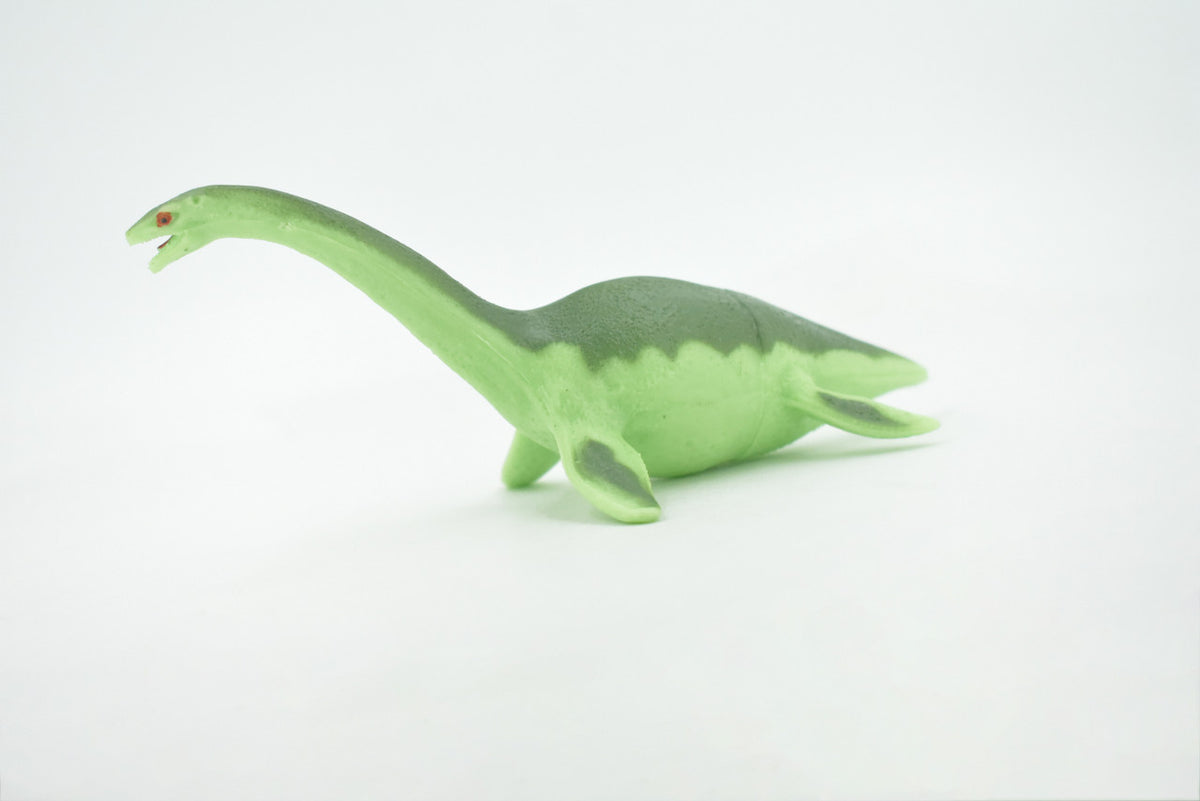 Elasmosaurus, Plesiosaurs Marine Reptile, High Quality, Hand Painted, Rubber, Realistic, Figure, Model, Replica, Toy, Kids, Educational, Gift,      6"     RI21 B166