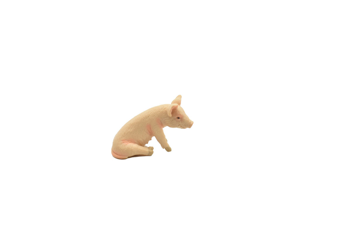 Pig, Piglet Sitting, Educational, Realistic Hand Painted, Figure, Lifelike Model, Figurine, Vintage Replica, Toy,   2 Inches. 