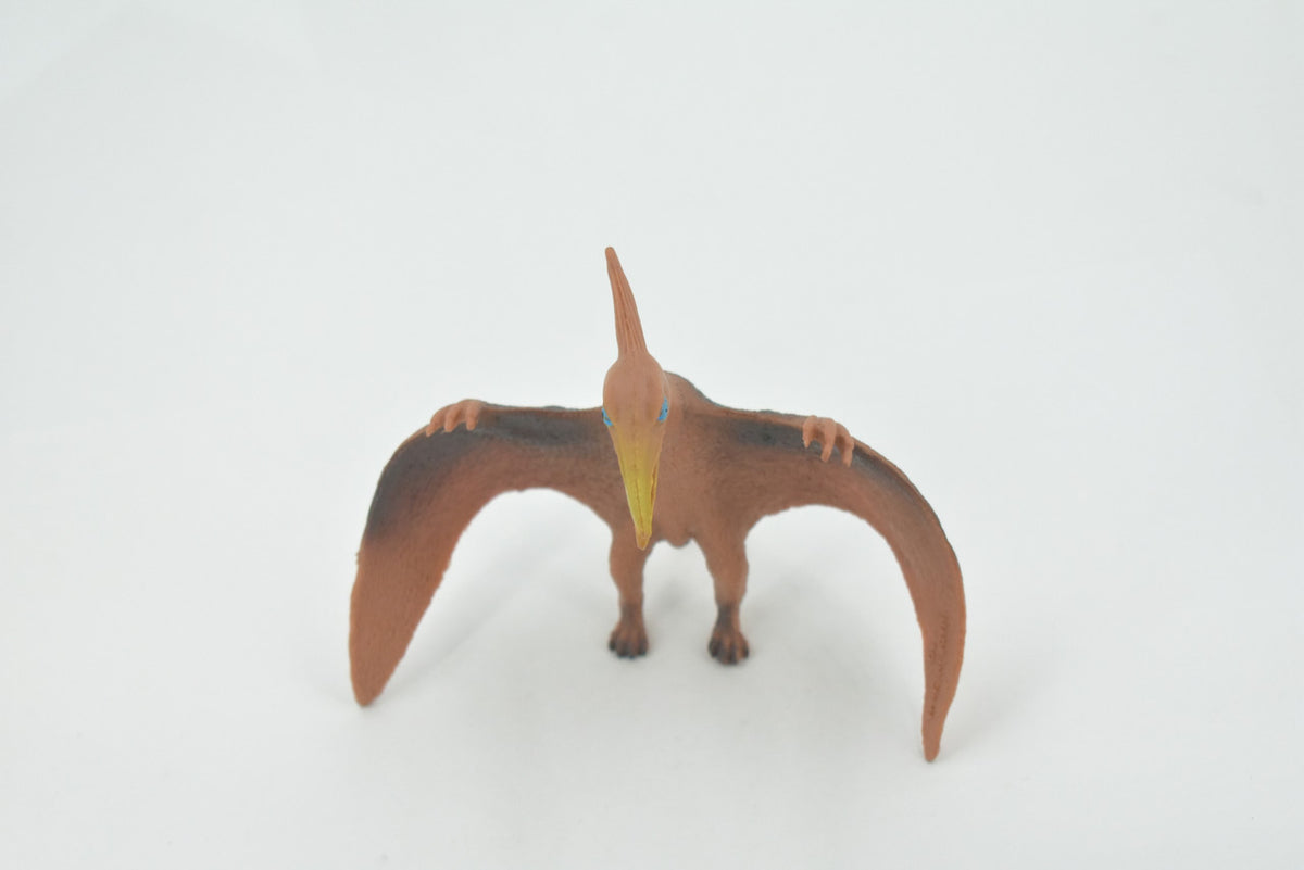 Pterodactyl, Extinct genus of Pterosaurs, Dinosaur, High Quality, Hand Painted, Rubber, Realistic, Model, Replica, Toy, Kids, Educational, Gift,      6"     RI22 B166
