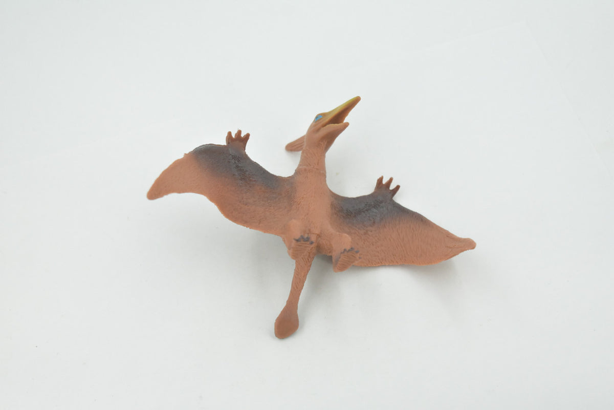 Pterodactyl, Extinct genus of Pterosaurs, Dinosaur, High Quality, Hand Painted, Rubber, Realistic, Model, Replica, Toy, Kids, Educational, Gift,      6"     RI22 B166