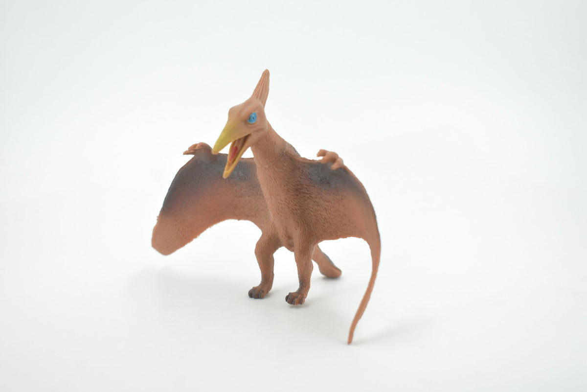 Pterodactyl, Extinct genus of Pterosaurs, Dinosaur, High Quality, Hand Painted, Rubber, Realistic, Model, Replica, Toy, Kids, Educational, Gift,      6"     RI22 B166