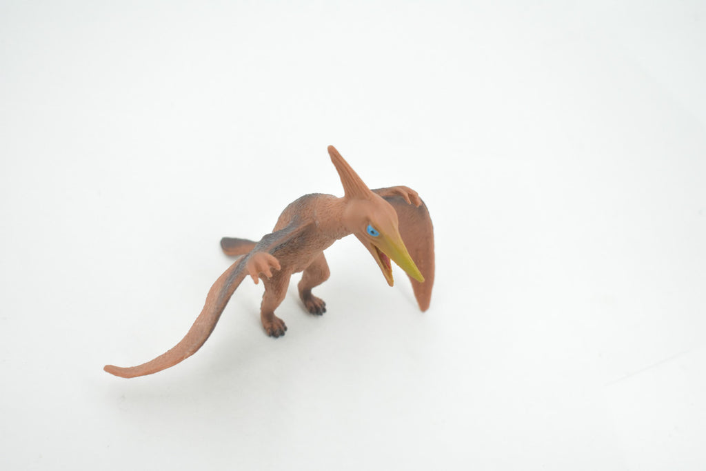 Pterodactyl, Extinct genus of Pterosaurs, Dinosaur, High Quality, Hand Painted, Rubber, Realistic, Model, Replica, Toy, Kids, Educational, Gift,      6"     RI22 B166