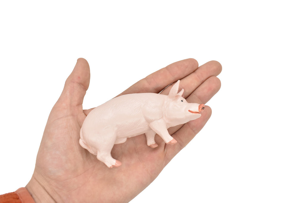 REAL SIZE IN THE HAND