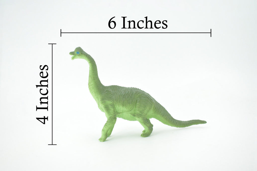 Brontosaurus, Herbivorous Sauropod Dinosaur, High Quality, Hand Painted, Rubber, Realistic, Figure, Model, Replica, Toy, Kids, Educational, Gift,    6"   RI18 B166